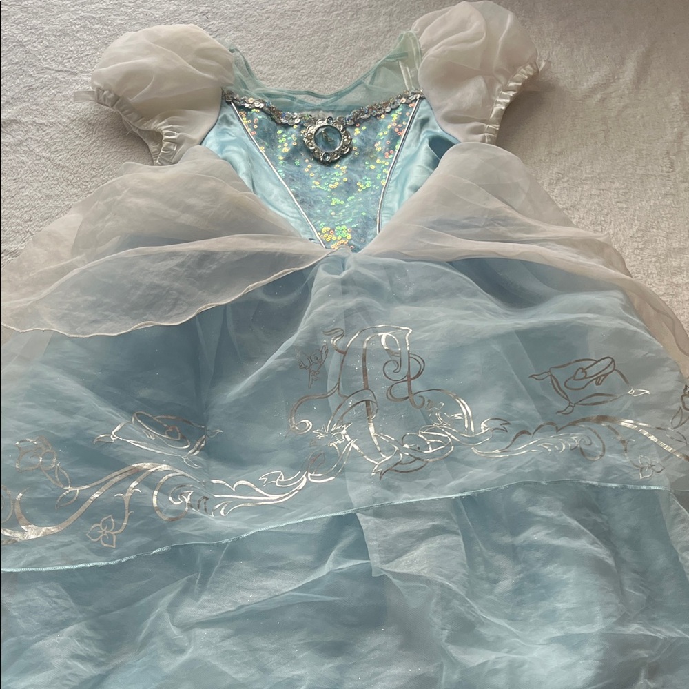 Disney Cinderella Ballgown